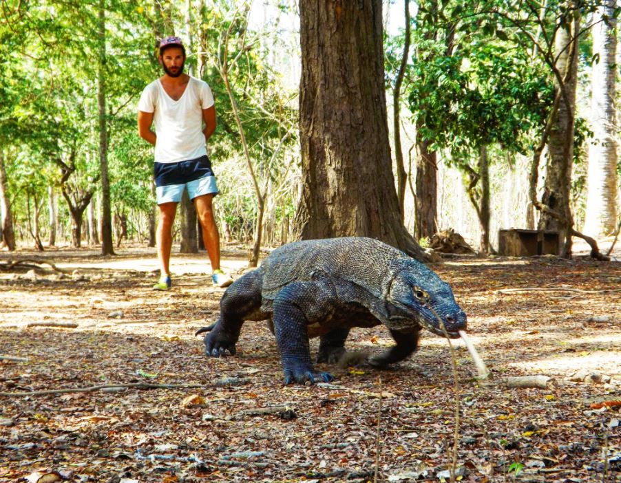 ​​​​Anthony VERLAINE