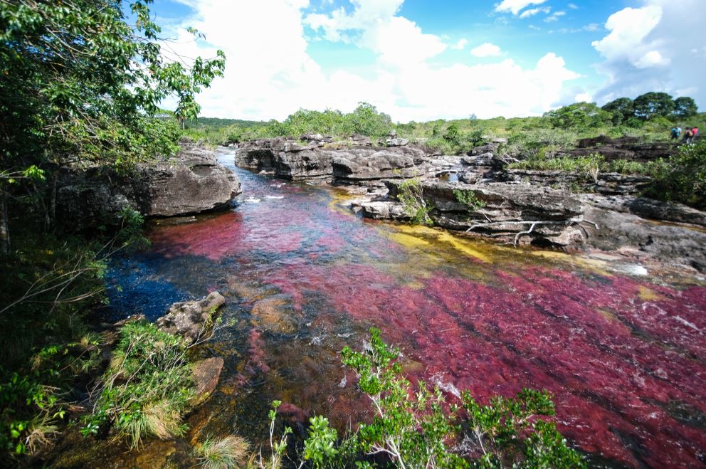 Caño Cristales