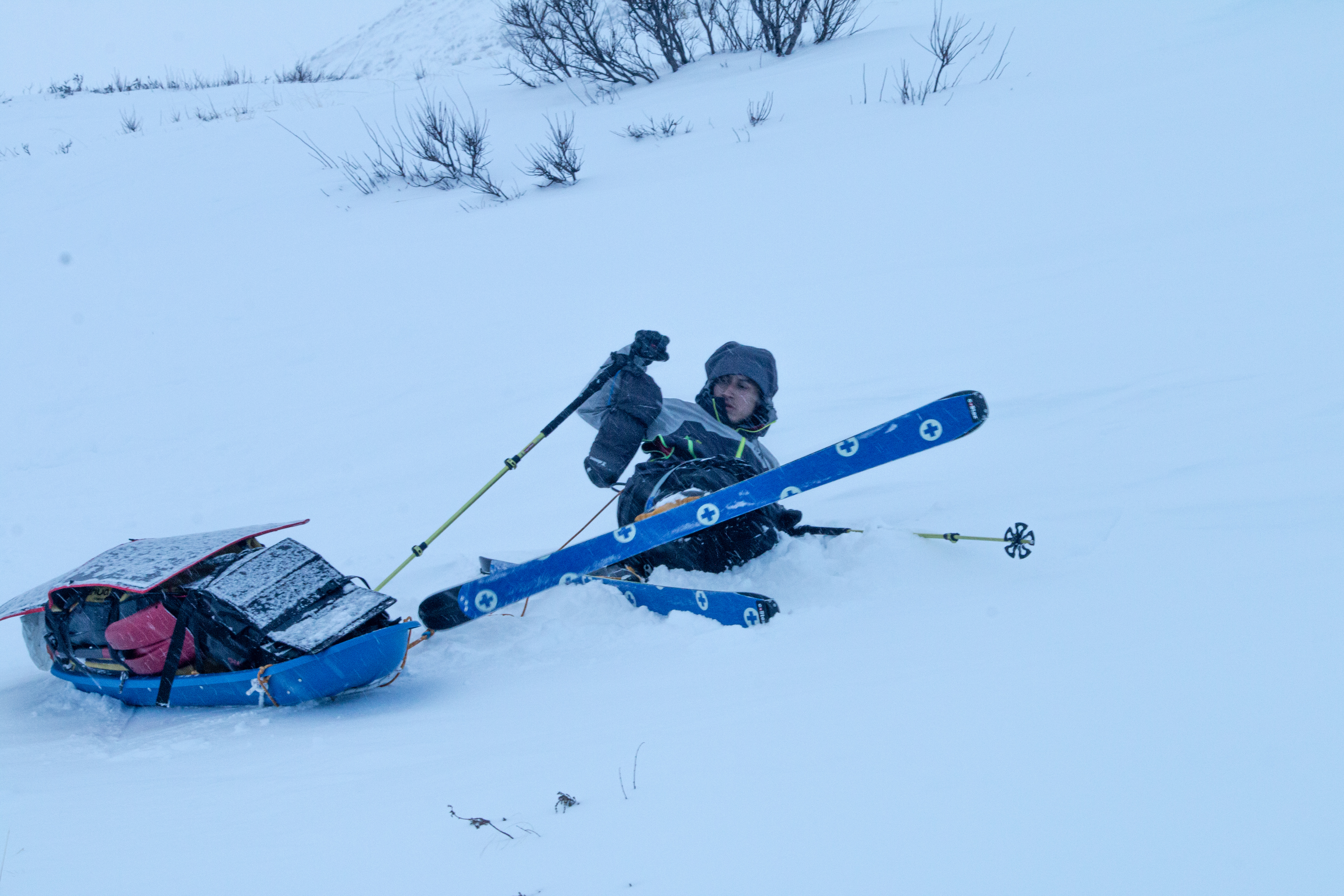 le temps d'un podcast what a trip festival