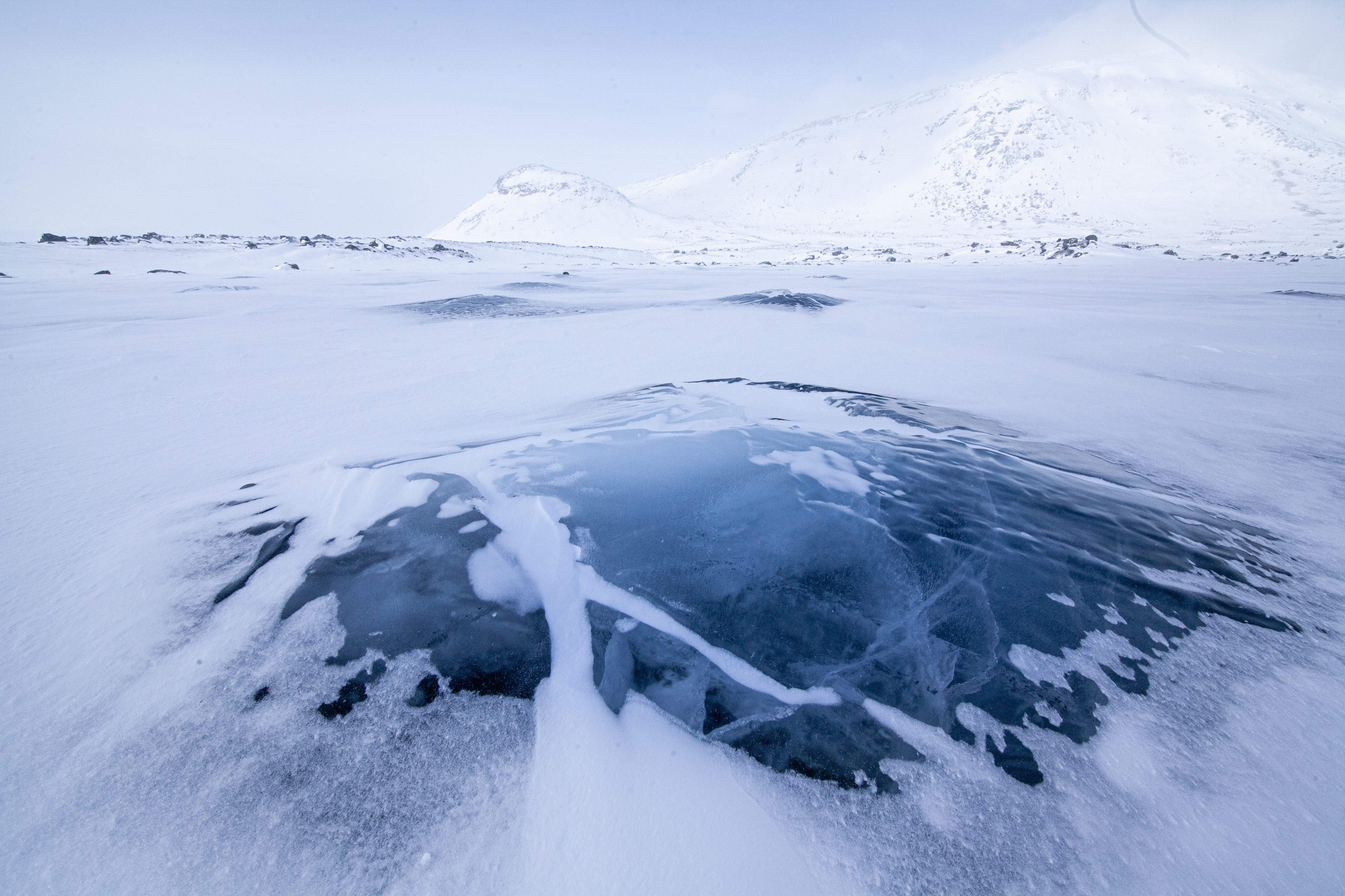 le temps d'un podcast - what a trip Festival