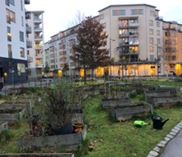 Norra Djurgarden quartier vert - WAY - HEYME Worldpass