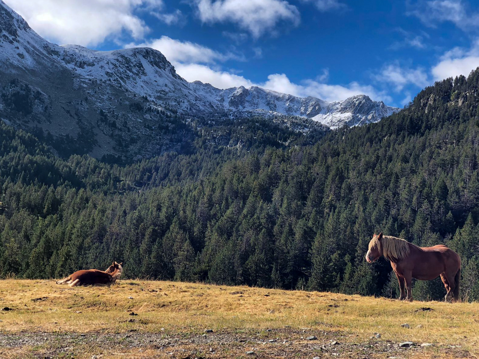 Photos stage survie en andorre par Anthony VERLAINE FRENCHADVENTURER