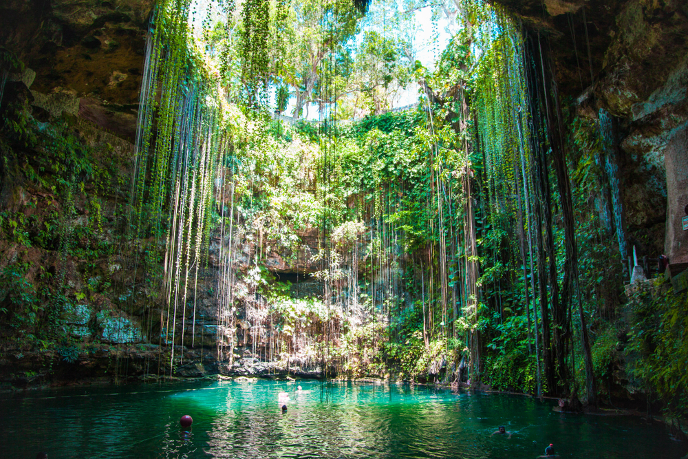 Plonger et explorer les cenotes