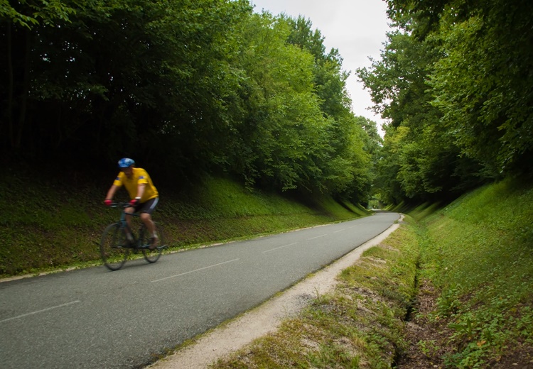 Voyager éco-responsable : quel moyen de transport ?