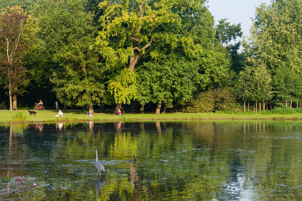 Vondelpark