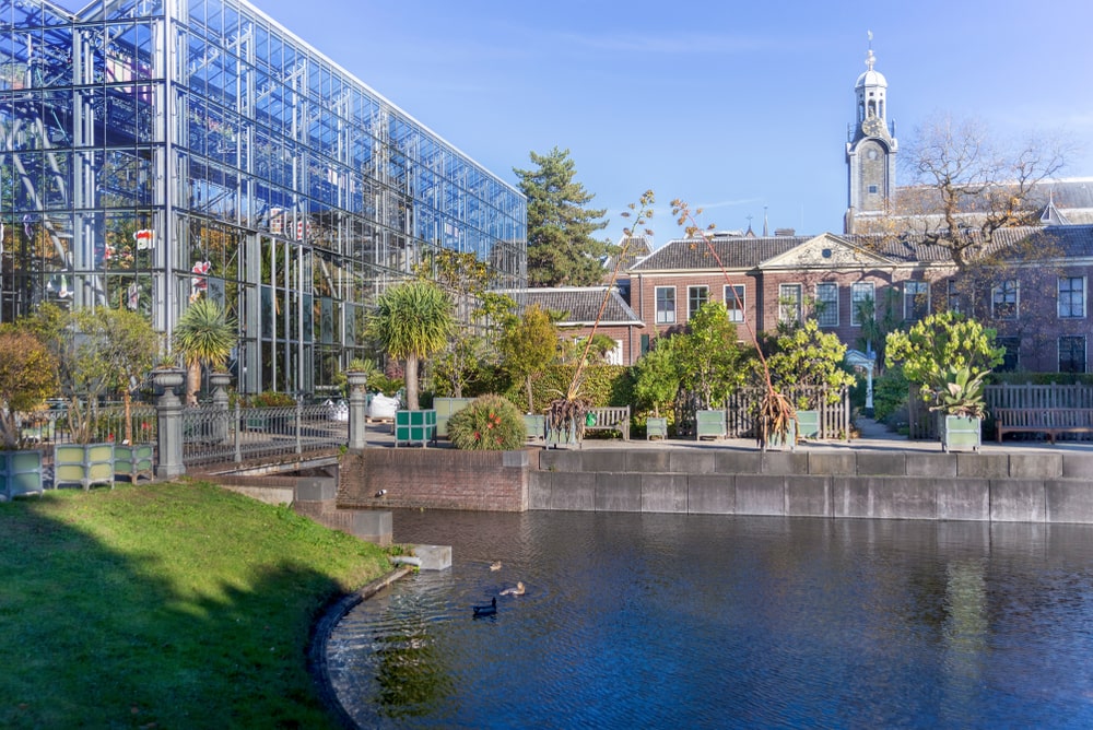 hortus botanicus à amsterdam